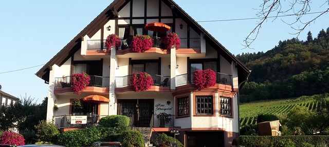 HAUS WEINGARTEN vacation apartment "Relax" directly on the vineyards