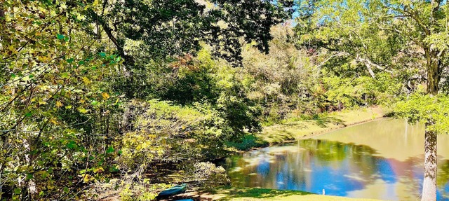 Hidden Gem! Lakeside two bedroom private entrance apartment with large yard.