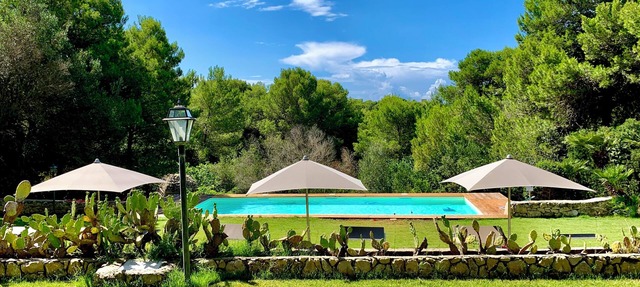 Historic Mansion from the 1900s with a Private Pool and Centuries-Old Park - Porto Selvaggio