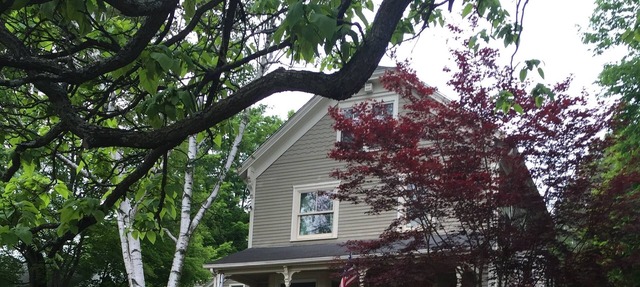 Historic Victorian Home in Sudbury - Perfect for Families - Pet Friendly