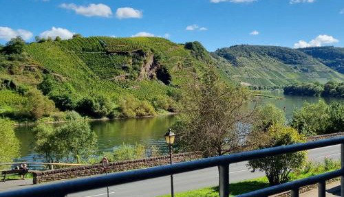 Historisches Mosel-Refugium im Alten Winzerhaus am Calmont