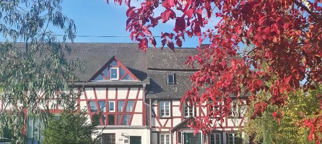Hof Idarwald