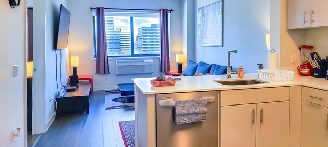 Holiday discount for a posh 1 bedroom apt just few minutes to Manhattan