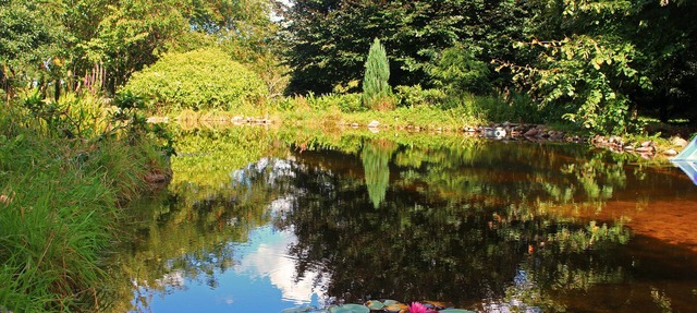 Holiday house with a private swimming pool and sauna in a rural idyll