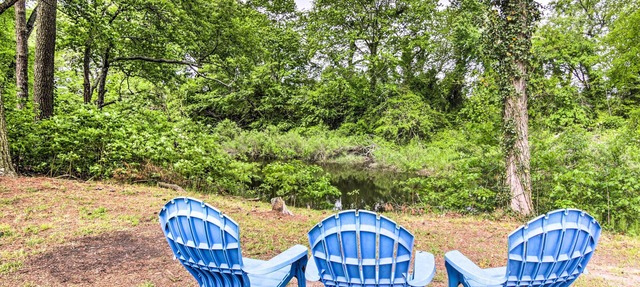 Home on Chesapeake Bay: Large Yard, Fire Pit