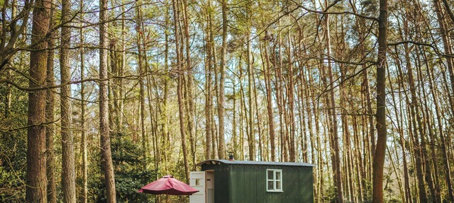 Honeysuckle Hut-QU7066