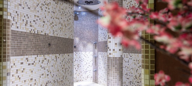 Hotel Alpine Mugon