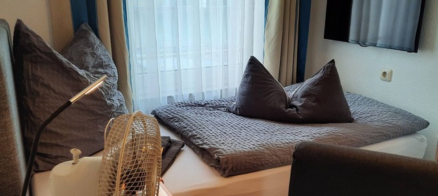 Hotel Merlin