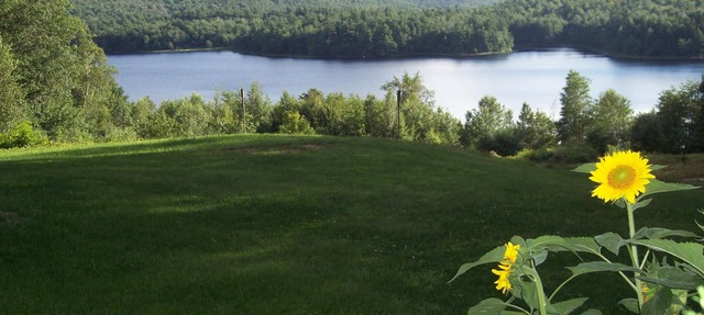 Hummingbird Hill Bed & Breakfast 1