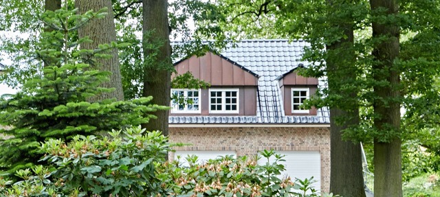 Idyllic tranquility near the "Alten Land" and the city of Hamburg