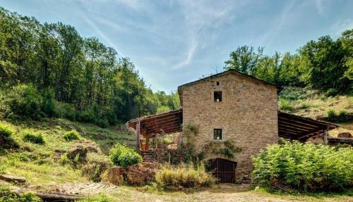 Il Mulino