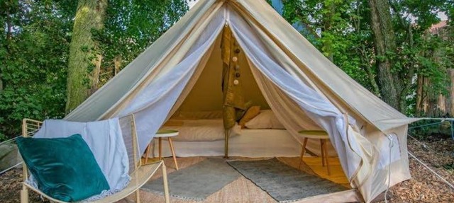 Into the Green Glamping - Chestnut