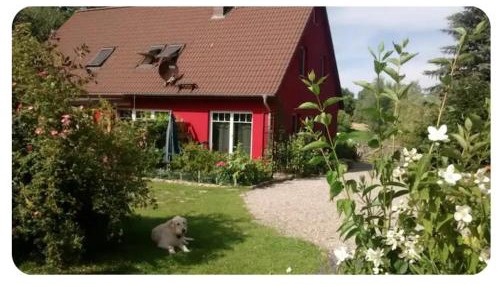 Kleiner Bauernhof in Ostseenähe - ganze Ferienwohnung mit 2 Zimmern