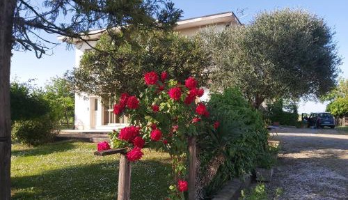 La Celeste a Montegaldella -VI - Italia