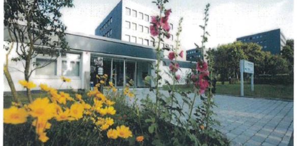 Laerholz 84