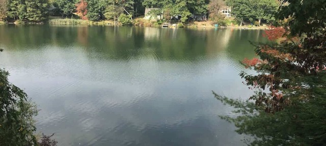 Lakefront +pets +skiing +bbq +firepit +games