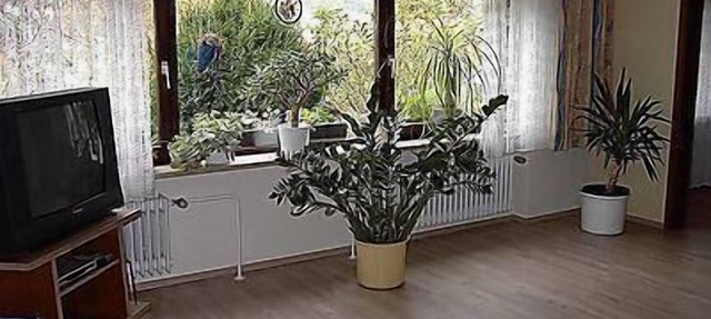 Large holiday flat in Sinbronn with garden