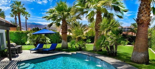 LARGE, PRIVATE Yard & Heated, Saltwater Pool/Spa, Detached Casita, Peloton