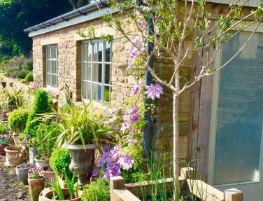 Lavender cottage