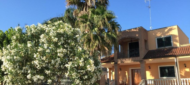 Le Palme B&B
