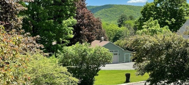 Lenox Retreat Near Tanglewood, Including Rescued Mini Donkeys!