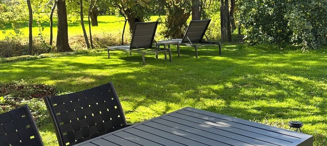 Lichtblick apartment near Bad Windsheim, fireplace, garden, barbecue, panorama screen, massage