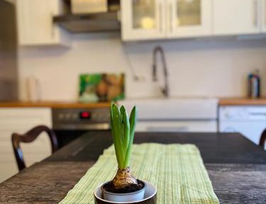 Lily-Rose Cottage