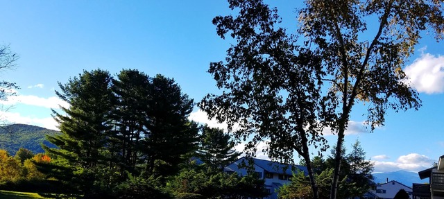 LOCATION, COMFORT & VIEWS IN THE WHITE MOUNTAINS!