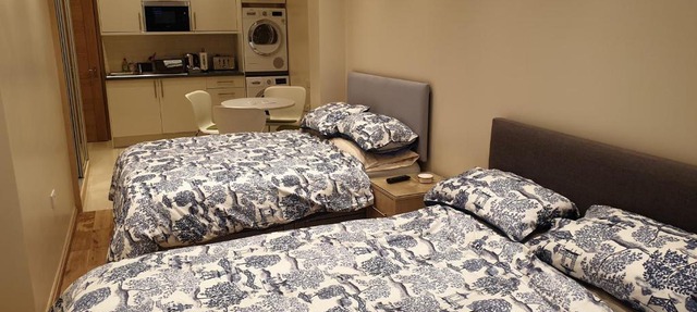 London Luxury 2 bed studio 4 mins from Ilford Stn - FREE parking, WiFi, garden access