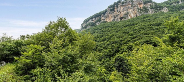 Look forward to a wonderful break from everyday life in this comfortable vacation apartment.