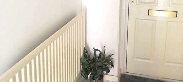 Lovely entire apartment