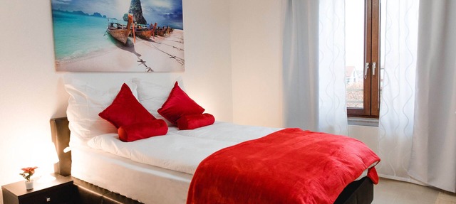 Lovely flat between Cologne and Bonn, close to Phantasy Land