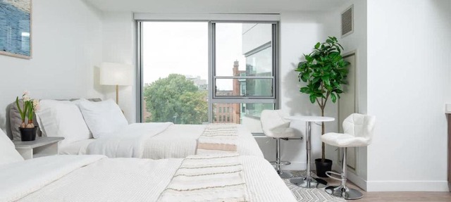 Lux Studio 2xQueen beds Gym near MIT Harvard