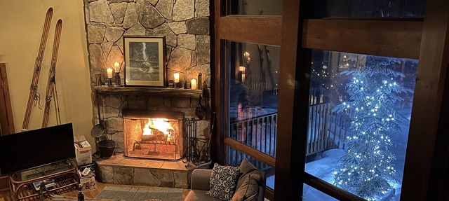 Luxurious Rustic Chalet in Solitude