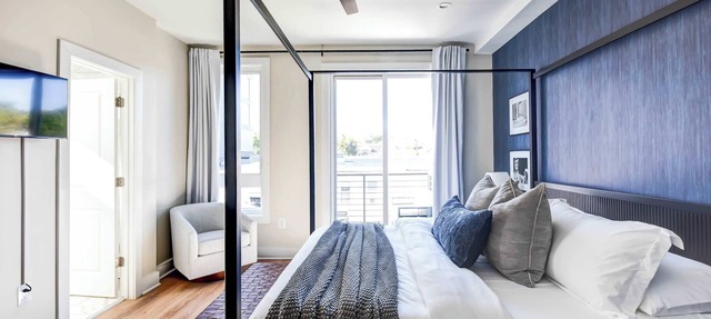 Luxury 12-BR DC Mansion+Rooftop Patio | Sleeps 28
