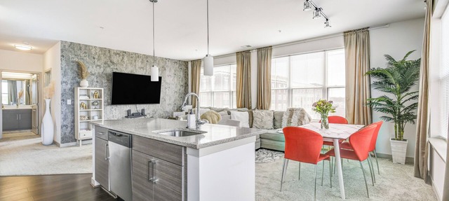 Luxury Downtown Crown Apartment minutes from DC
