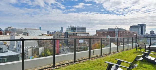 Luxury Studio King bed Gym near MIT Harvard