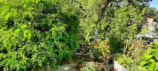 Luxusappartement mit Eigenem Garten Nähe Zentralklinikum