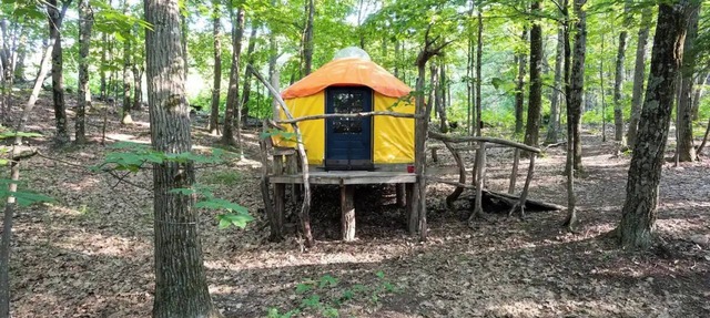 Magic Forest Farm Yurt