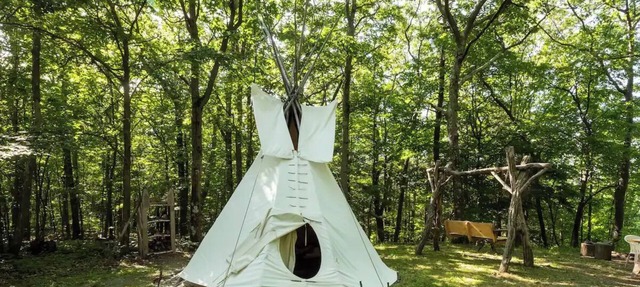 Magic Forest Farm Garden Tipi