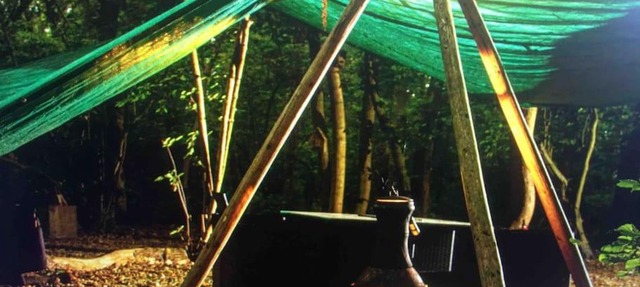 Magical Forest yurt