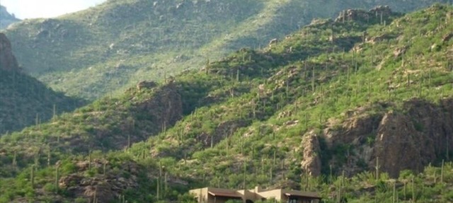 Magical Private Mountain Estate in Ventana Canyon