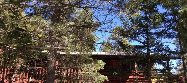 Magnificent View, In the woods! By Lodge & Golf course! Just Remodeled ceiling!