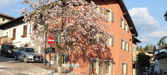 Magnolia Levico