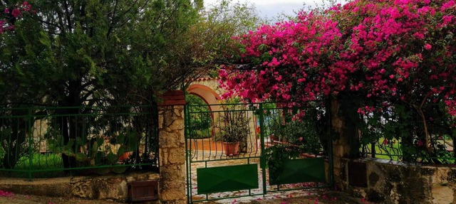 Maison de Soleil