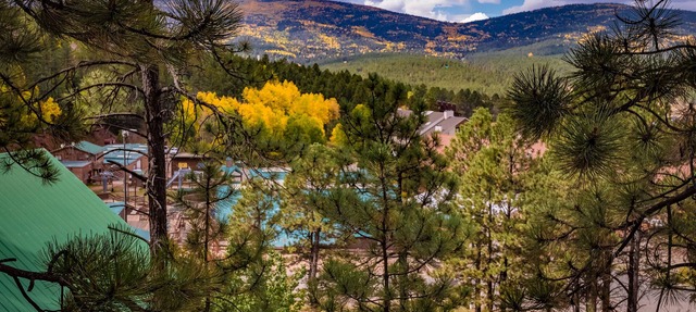 Make your reservation now for a fun time in the beautiful mountains!
