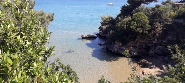 Mare