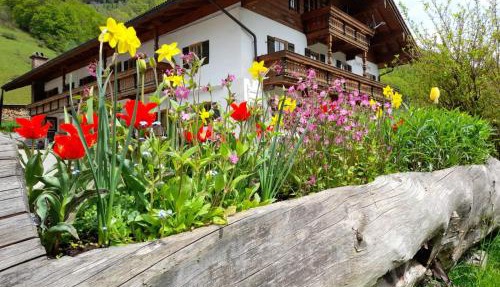 Mayringerlehen