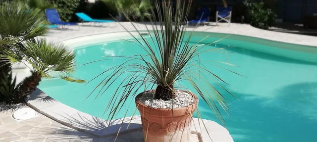 Mediterranean Villa 50 meters from the sea