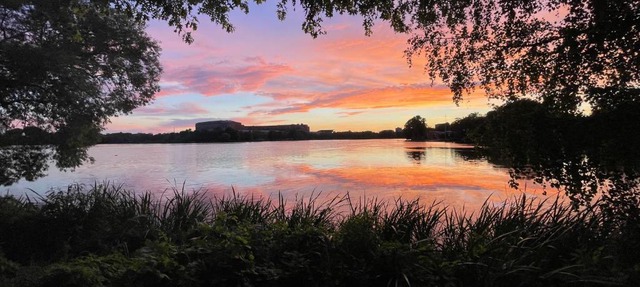Messeapartment Dutzendteich